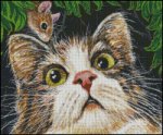 (image for) Hide and Seek